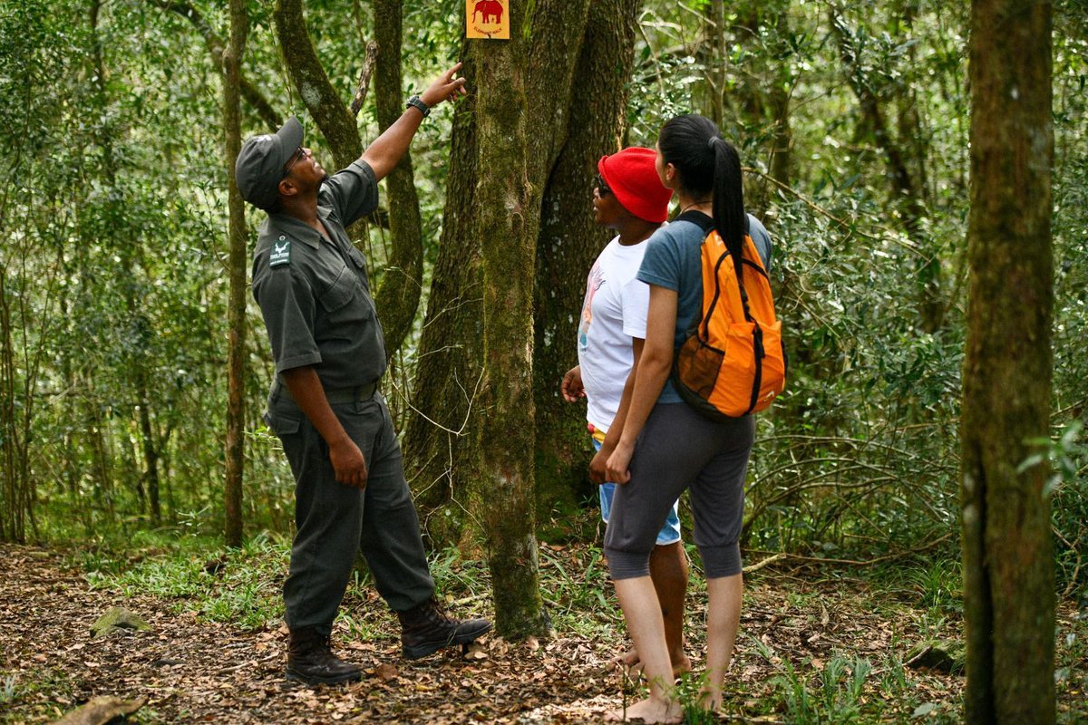 SANParks tweet media