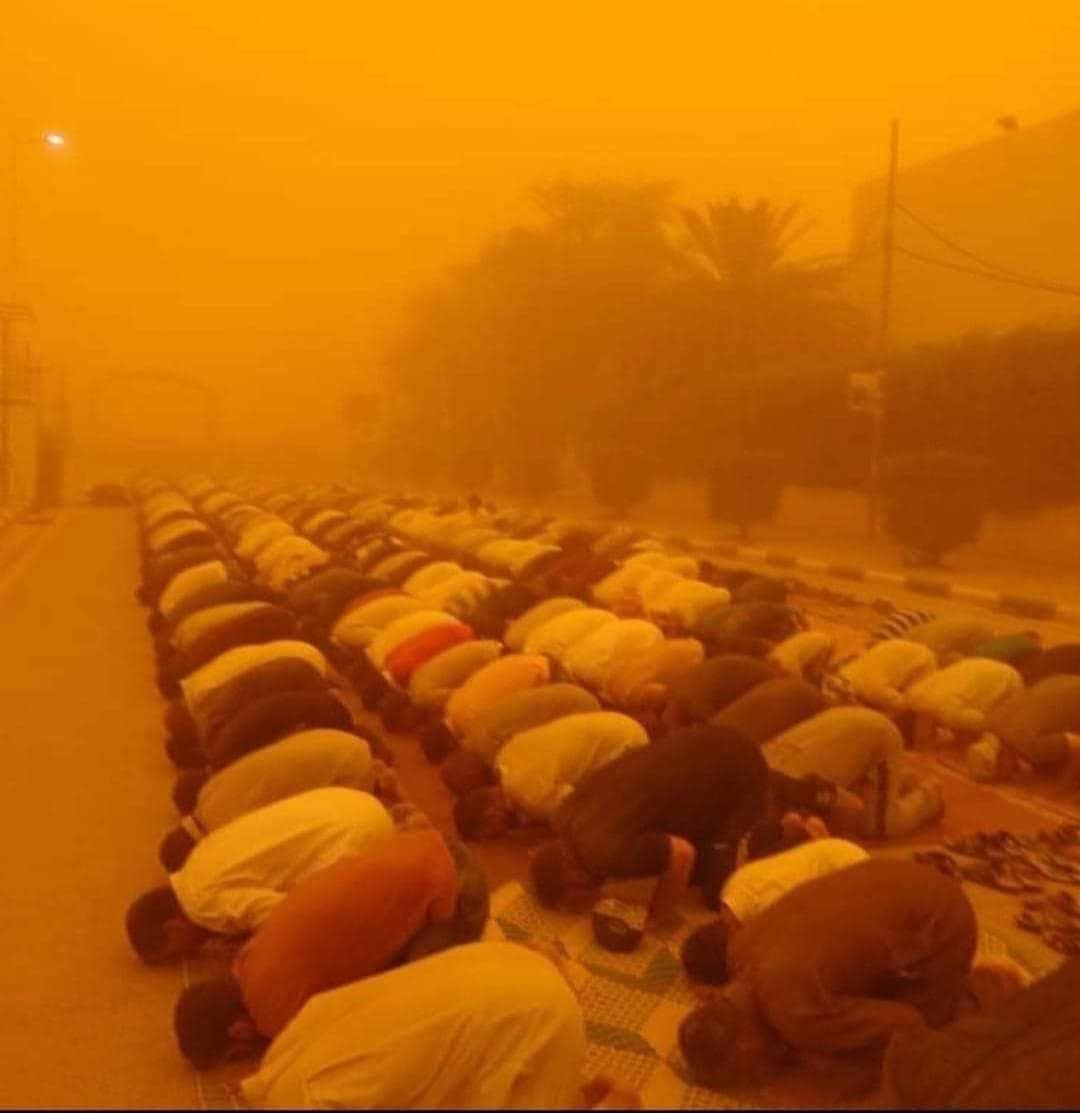 Hussein. Nassr. 1987 tweet media