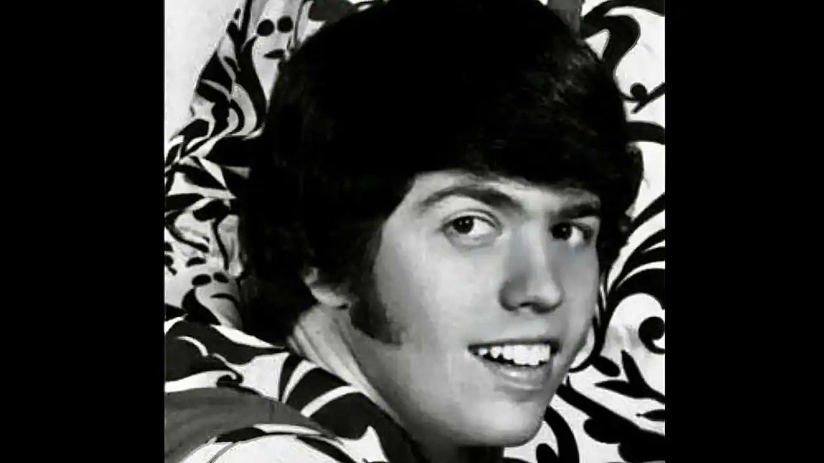 Plasticos y Decibelios tweet media