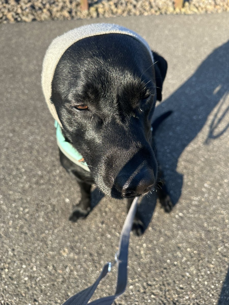 Tante Rirosa und Willi tweet media