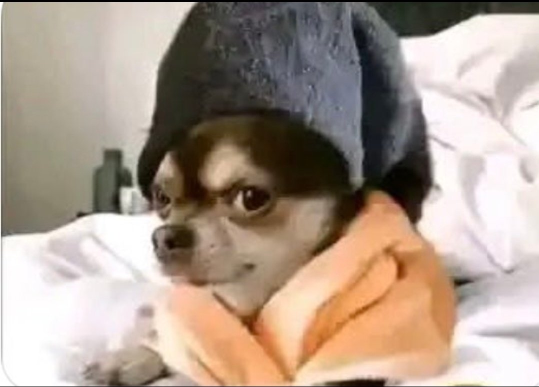 dax jpy 📊 tweet media