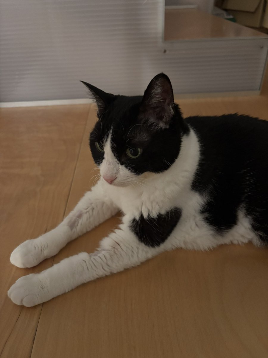 百年の愉楽 tweet media