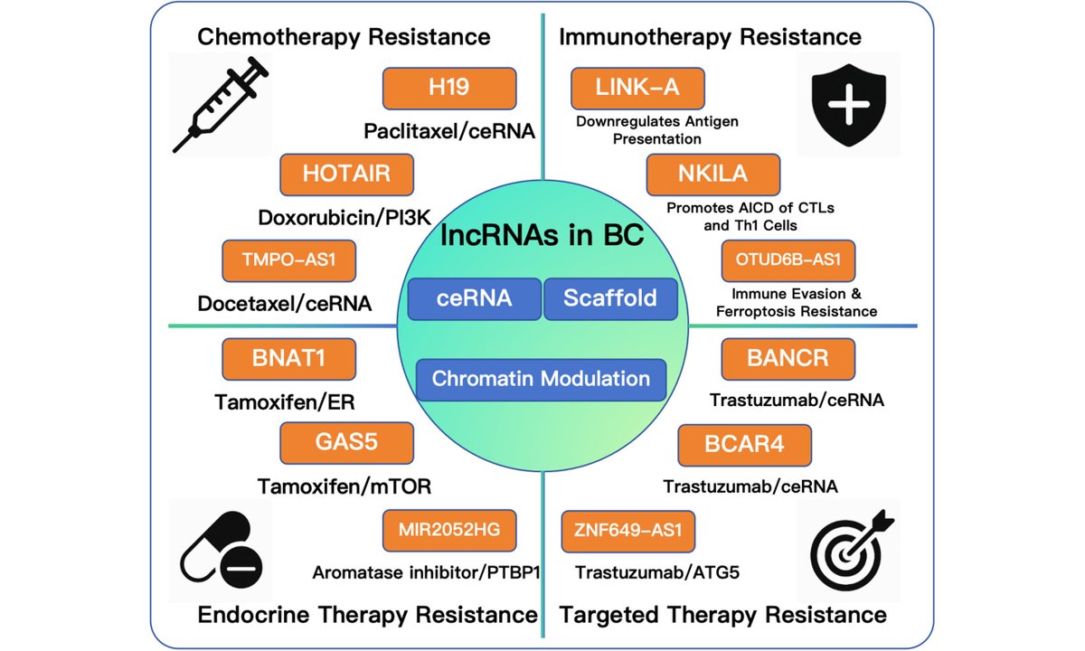 Journal of Translational Genetics and Genomics tweet media