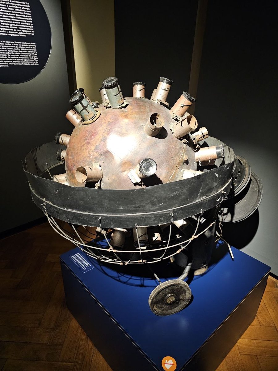 Білий лев tweet media