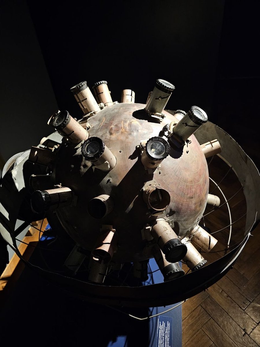 Білий лев tweet media