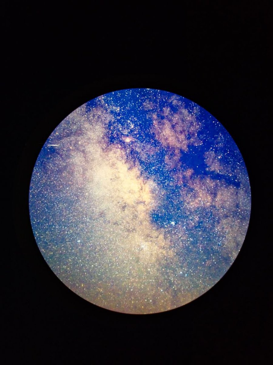 Білий лев tweet media