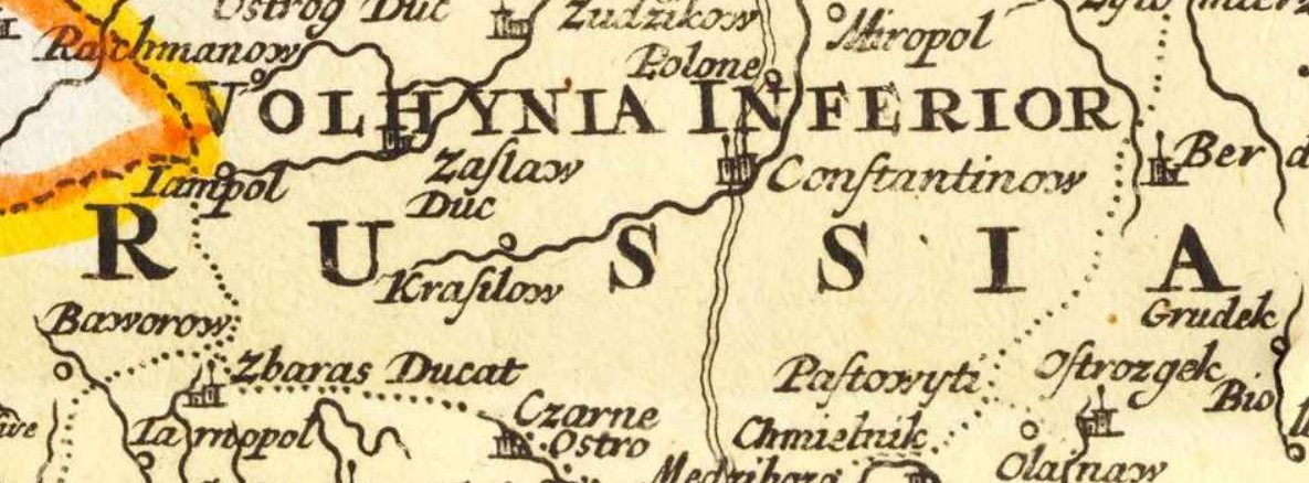 38Parrots tweet media