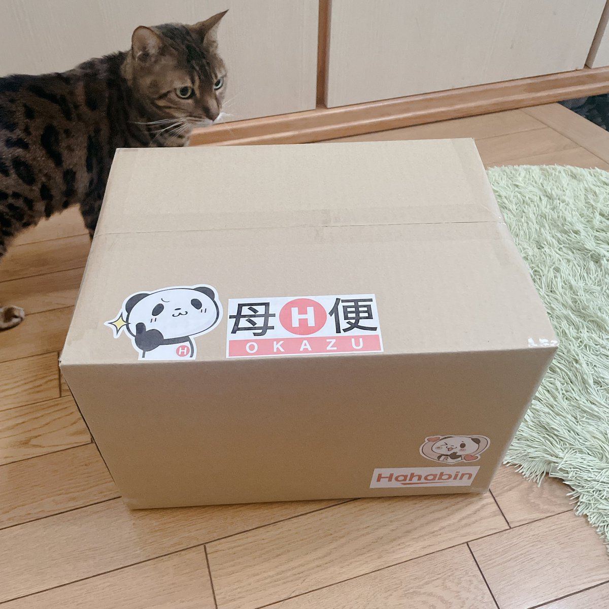 LifeMokomoko's tweet photo. 春から初めての一人暮らしを頑張ってる息子に、第1回仕送り便を送ります🚚
mamazonに憧れてたけど、ウチはAmazon派ではなくて楽天市場派なので、楽天パンダで送りました。
クロネコヤマトのクール便、息子の元までよろしくお願いいたします🙇 https://t.co/6IYO5MCztX