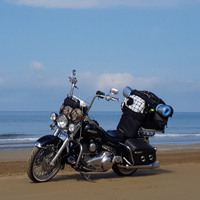 旅人&お盟主★YUKI-ﾕｷ- tweet media