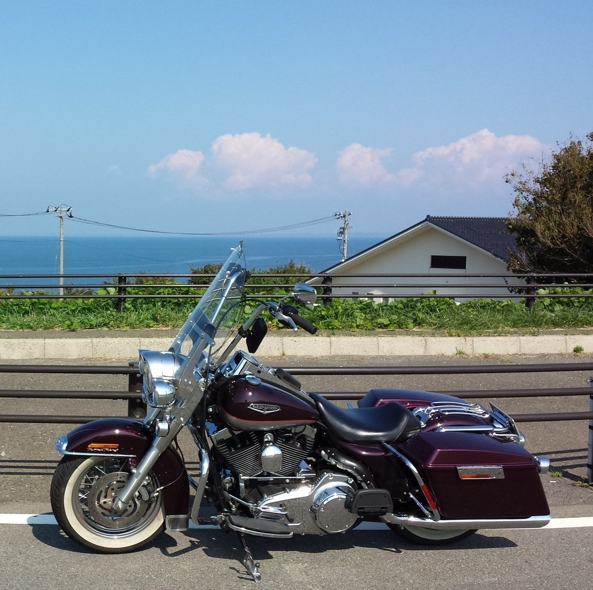 旅人&お盟主★YUKI-ﾕｷ- tweet media