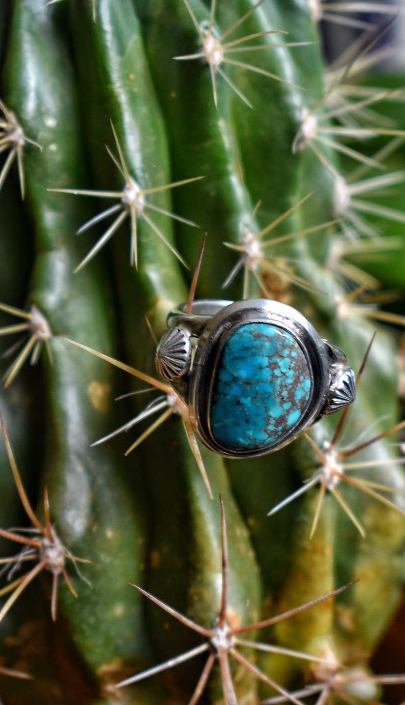 RiddellArchives's tweet image. #RandoTuesday

#cactus #stone #turquoise #silver #setting #art #jewellery #design #Arizona #Sonoma #gift