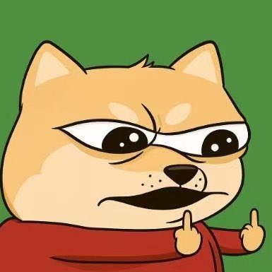 MOCODOG tweet media