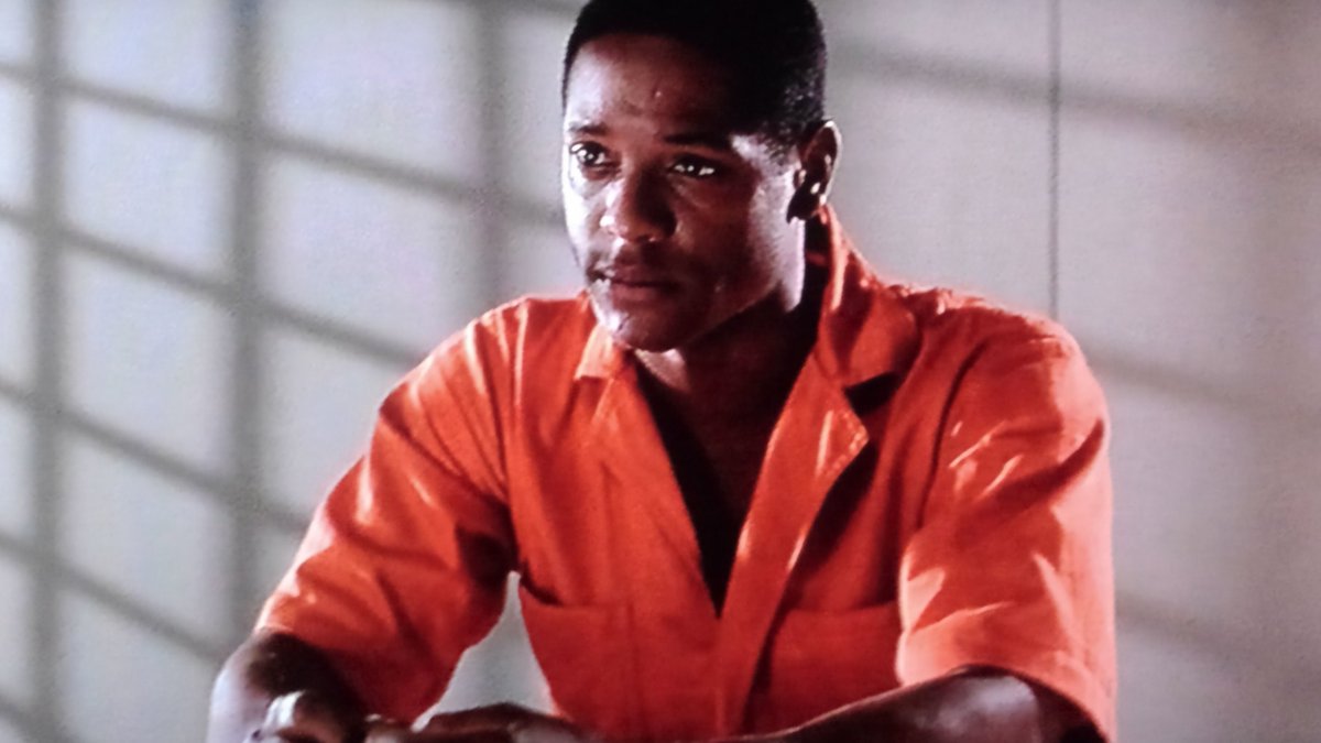 夜の鳥 tweet media