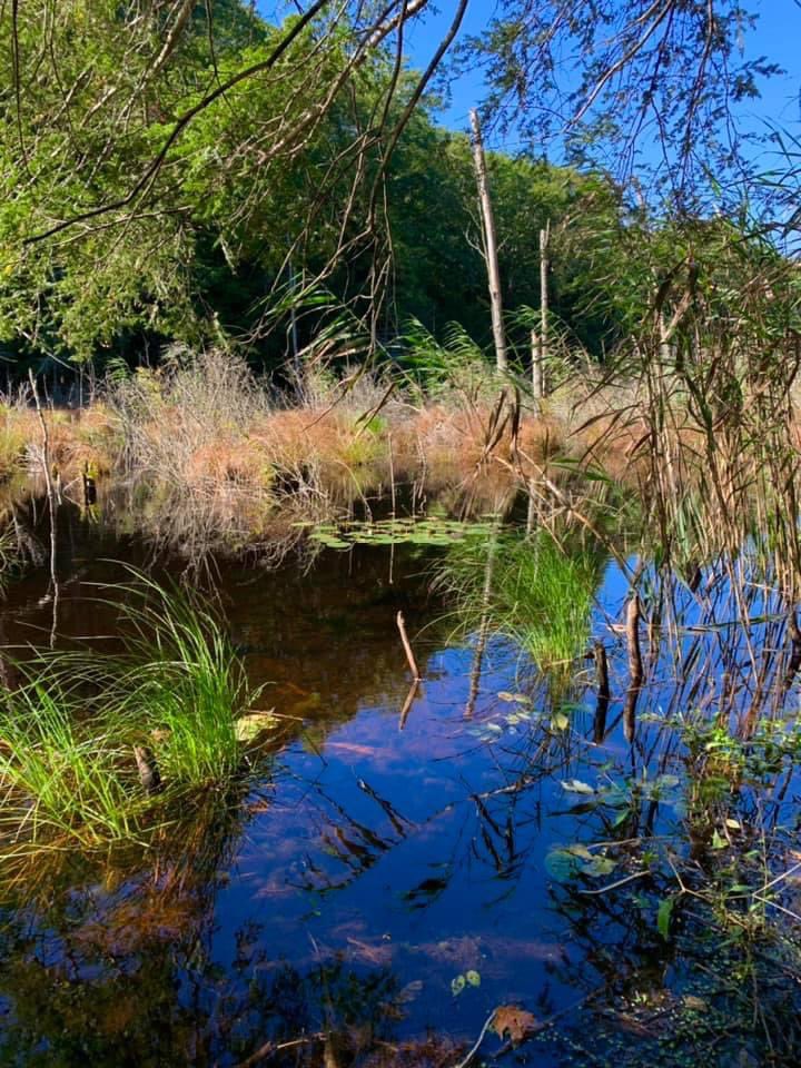 Dave Fleming tweet media