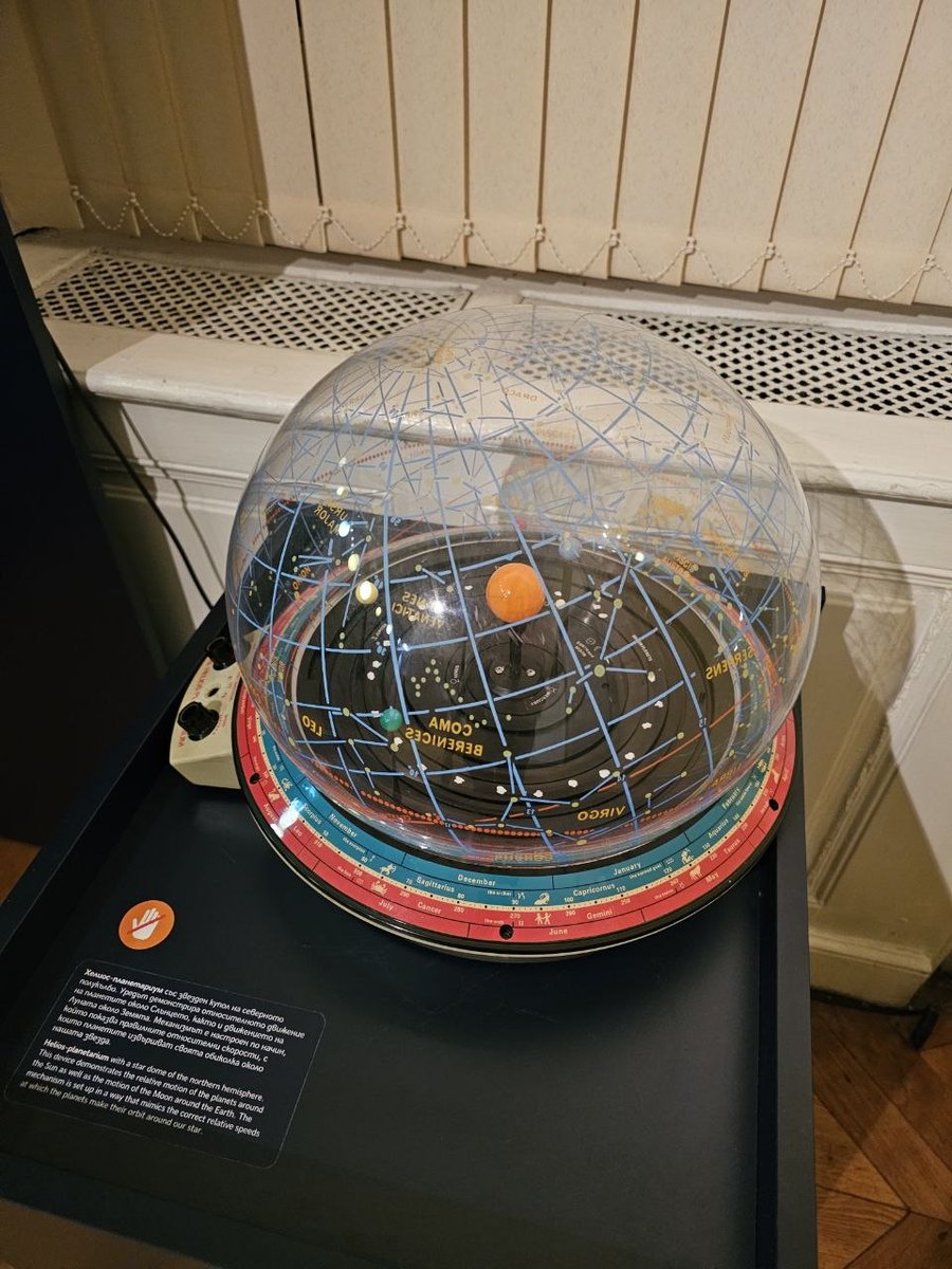 Білий лев tweet media