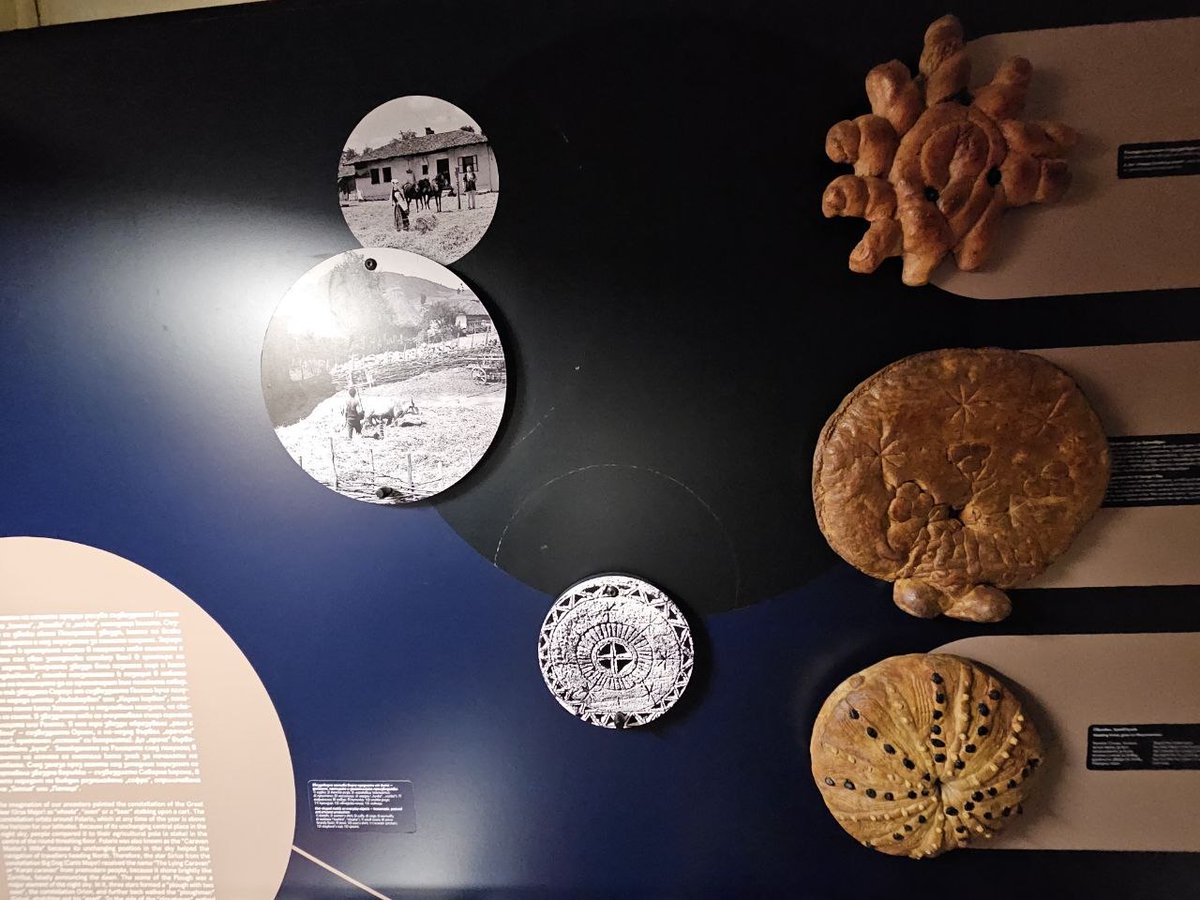 Білий лев tweet media