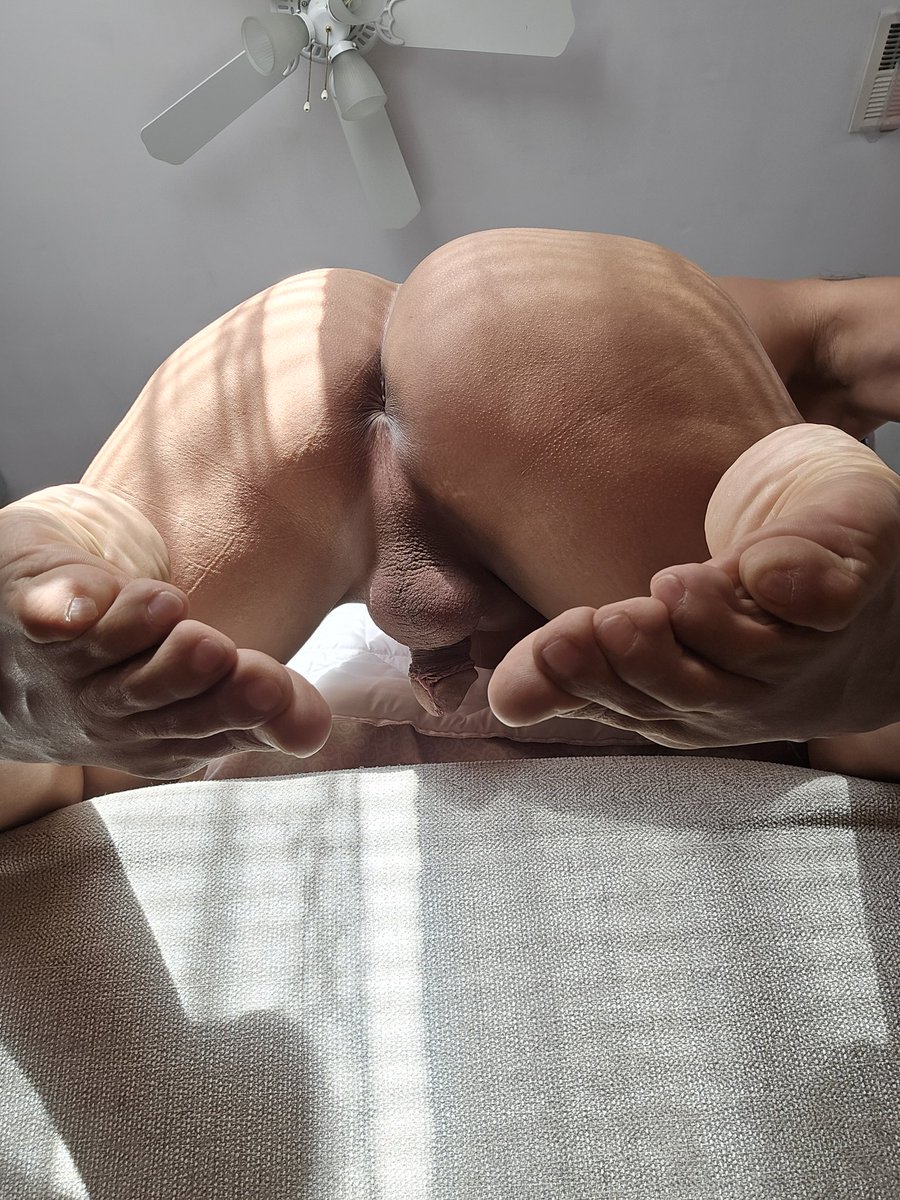 HOTWIFEBIHUSBAND 13k tweet media