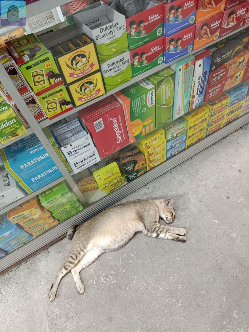 Tanyarl 💚 tweet media