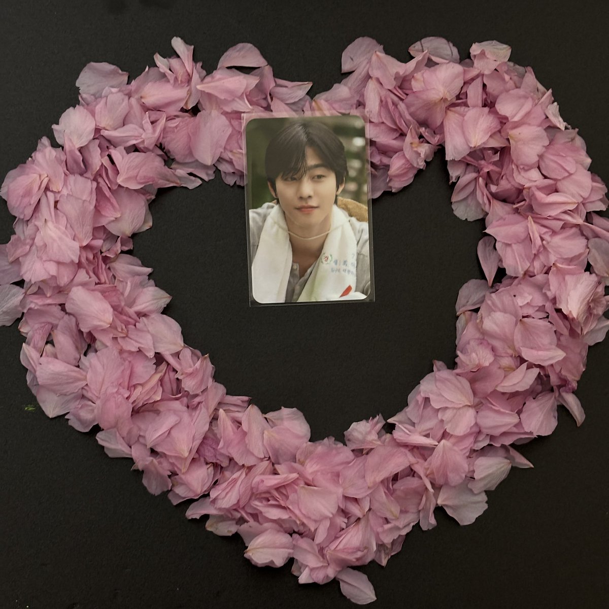 과연 나의 덕질은 어디까지일까?
소년을 사랑해서 나오는 소녀감성 😆

한달전 목련꽃잎에도 적어봤고 ㅋ
오늘은 오매진 첫방기념으로 
떨어진 겹벚꽃잎으로 또 한번 🤣

차마 길에서는 못하고 
한컵가득 담아와서 썼는데
안효섭이 생각보다 어려웠다는 ㅋ

#안효섭 
#오늘도매진했습니다
#첫방송