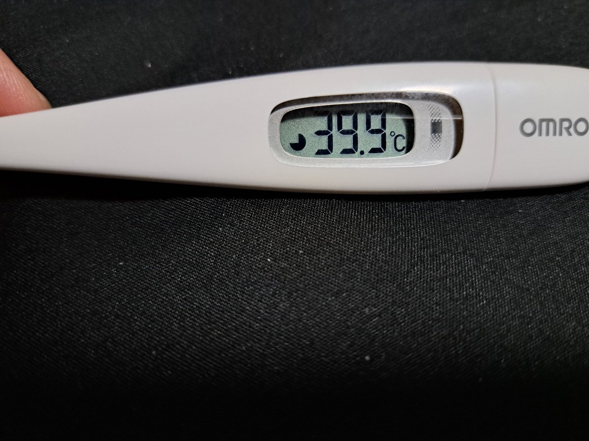 一般人だったきなりさん tweet media