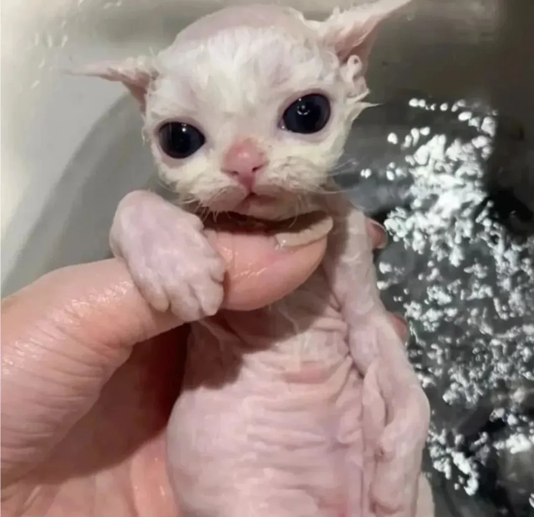 Before bath and after