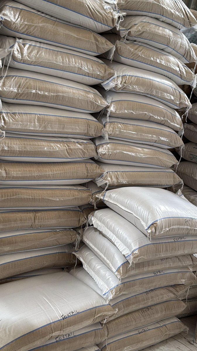 b_globalexports's tweet image. Today we're dispatching a bulk millet to Punjab another step in strengthening domestic supply chains for nutrient-rich grains. 

Step by step, we're building a strong supply chain for millets across India. Consistency, quality, and trust remain the focus.

#Millets #BulkSupply