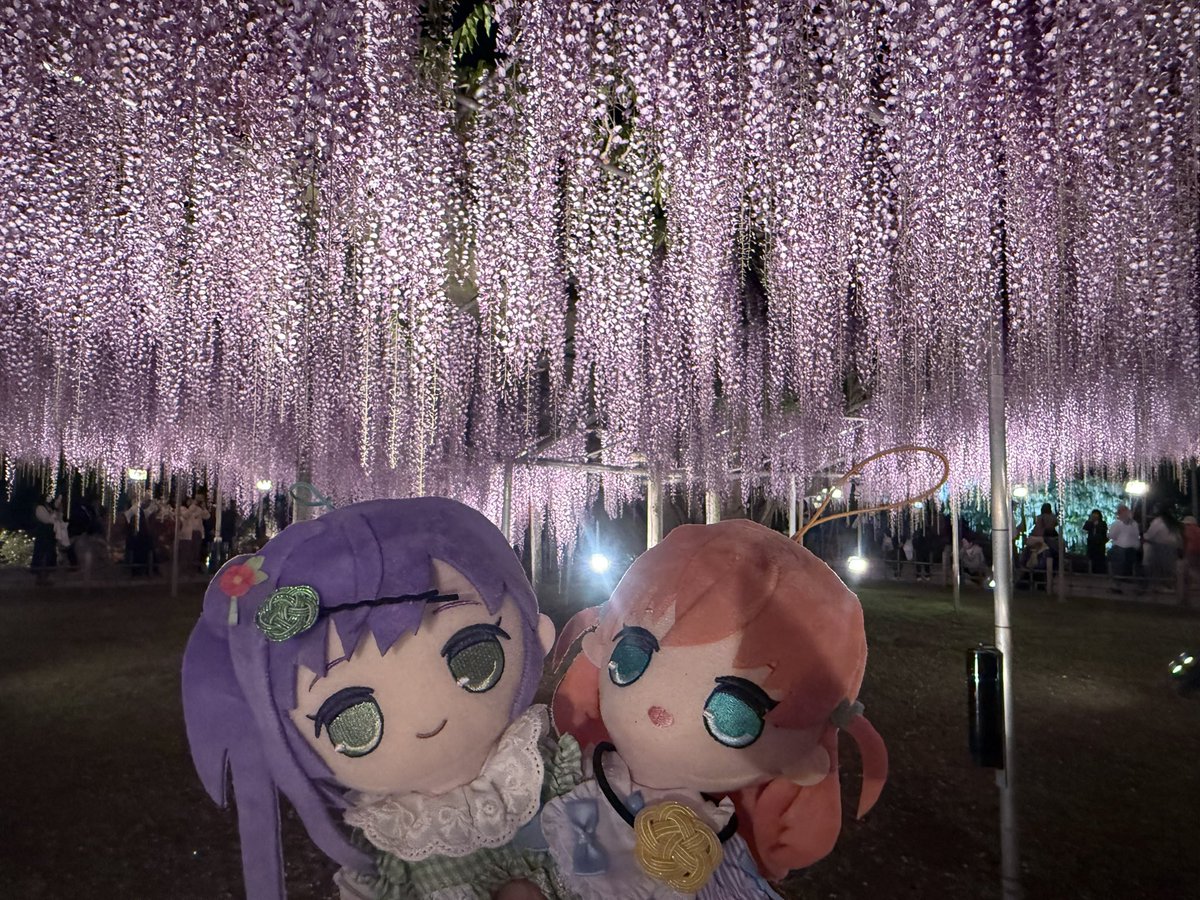 カプ・デカホ tweet media