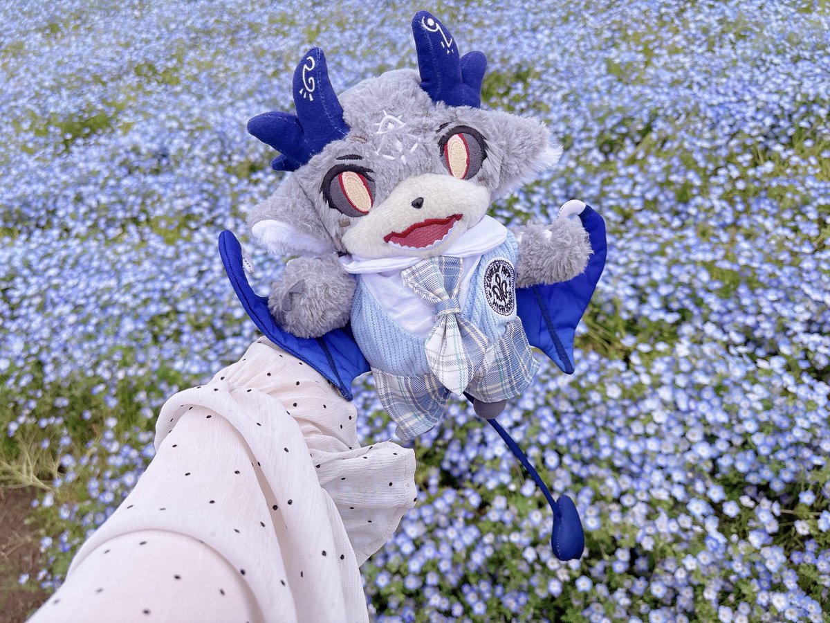 (⃔ ときゅ )⃕↝ tweet media