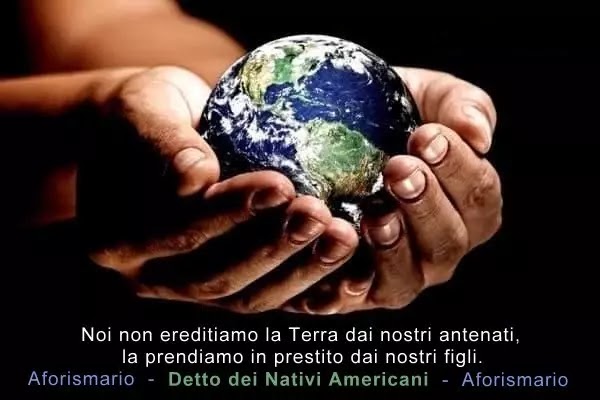 Imma Paradiso tweet media