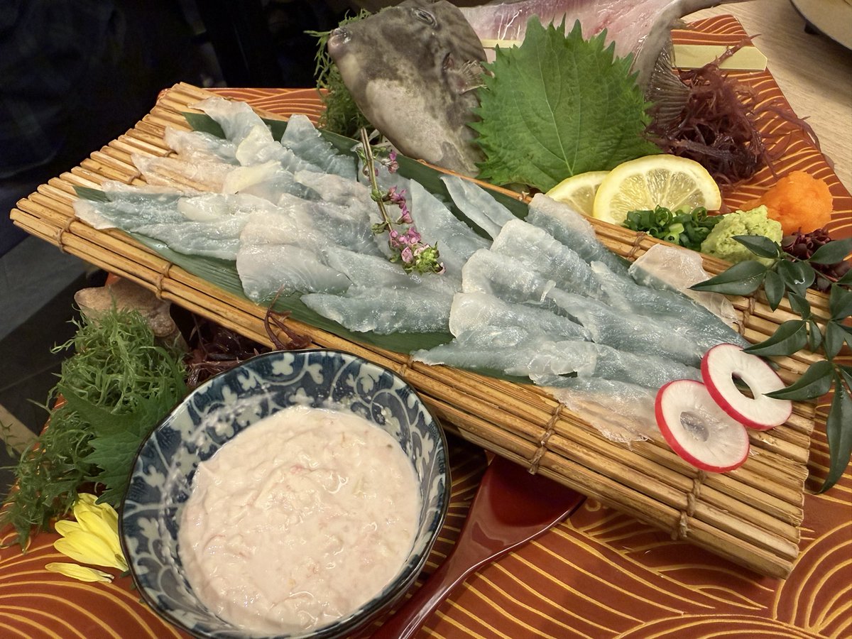 ko(東大バカⅢ類) tweet media