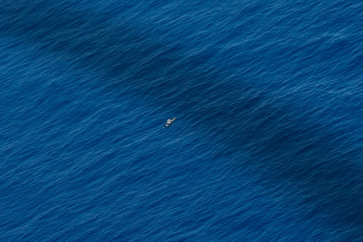 SOS MEDITERRANEE tweet media