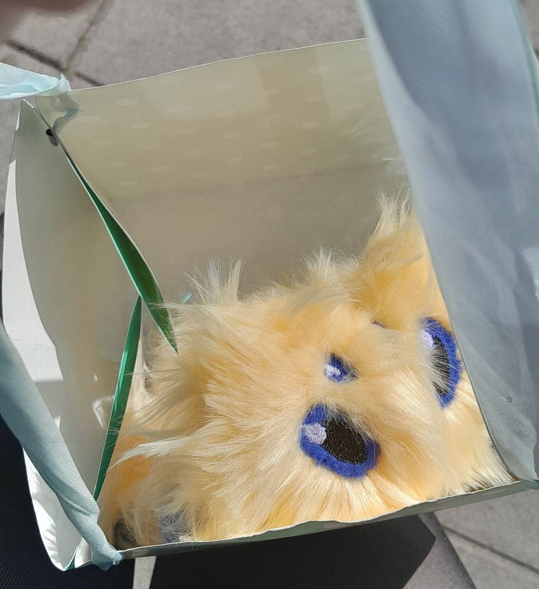 mira🪻 tweet media