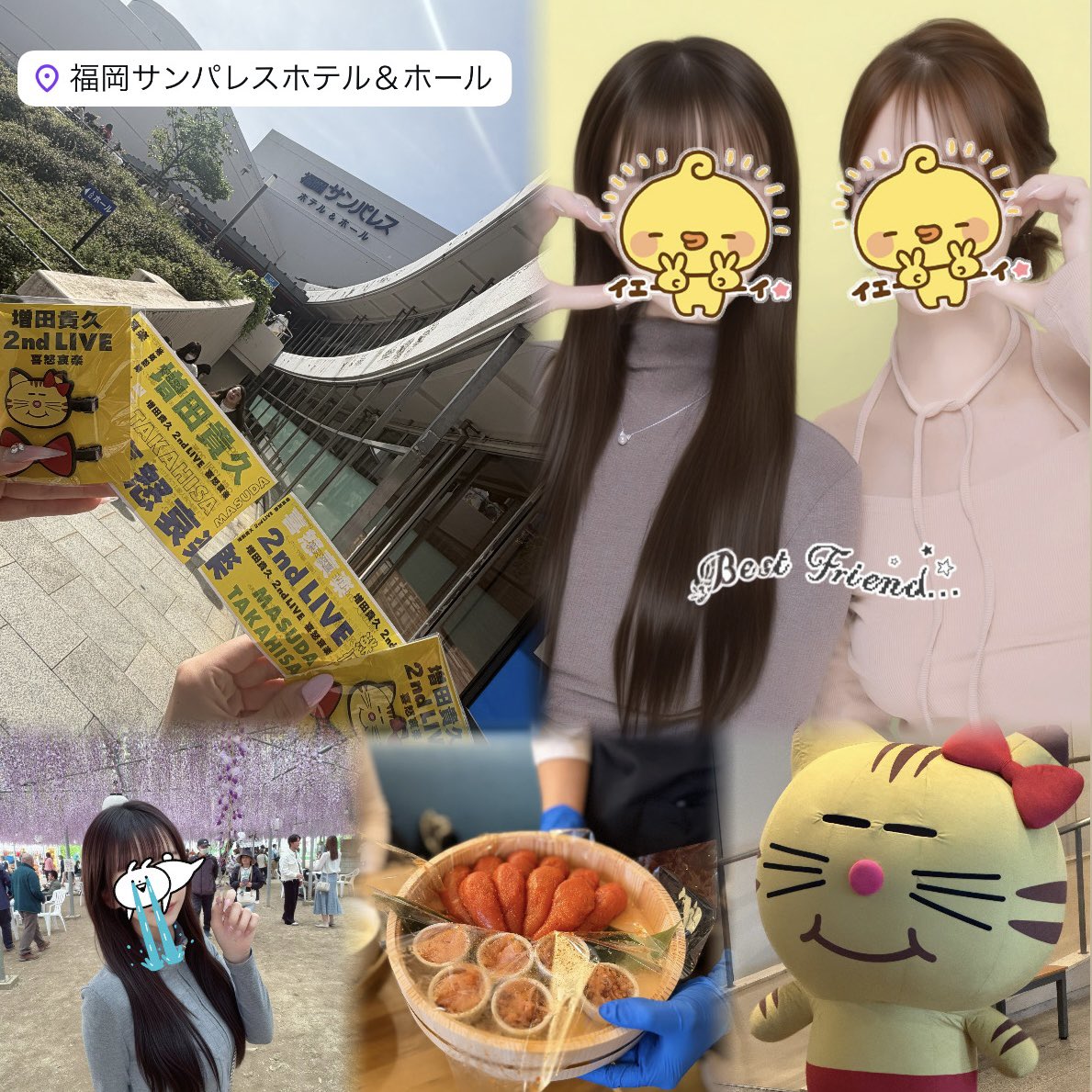 はなぺち tweet media