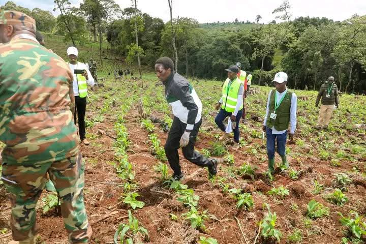 Ruto James tweet media