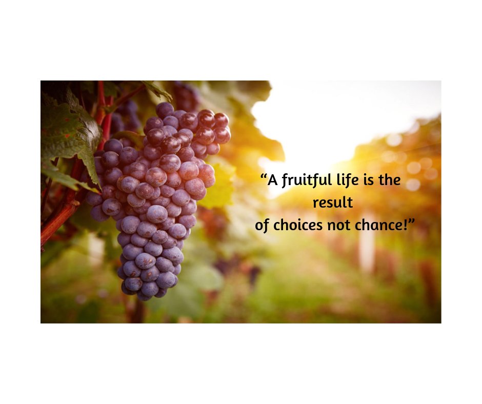 Judy Kay Mausolf tweet media