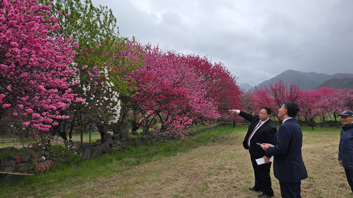 السفارة السعودية في اليابان tweet media