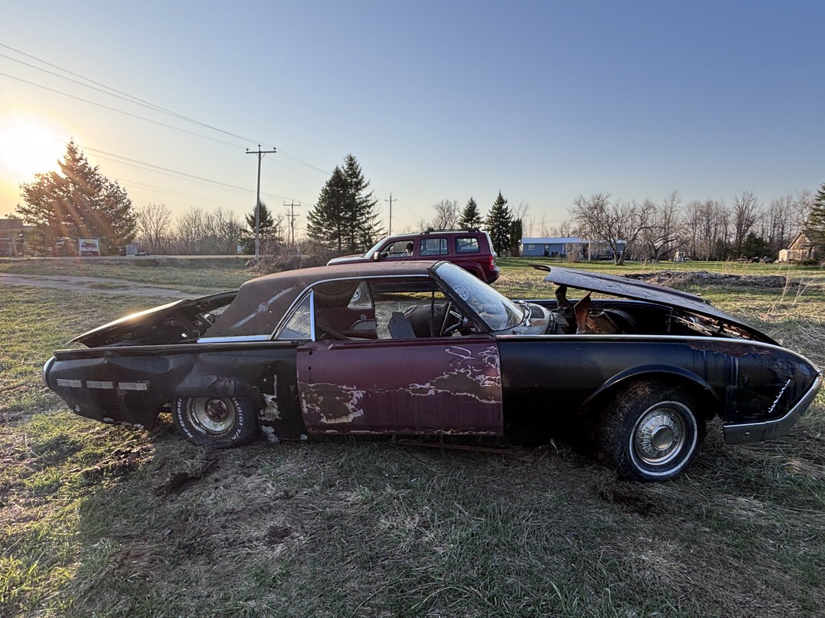 Irreverent-Farmer tweet media