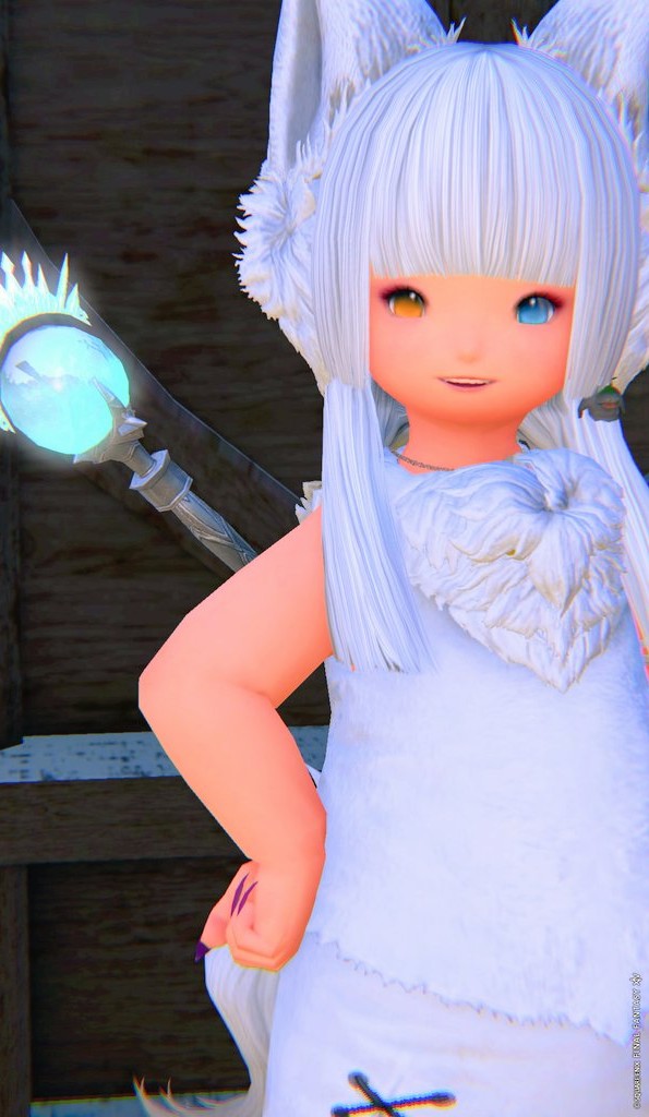 もふこ🐾 tweet media