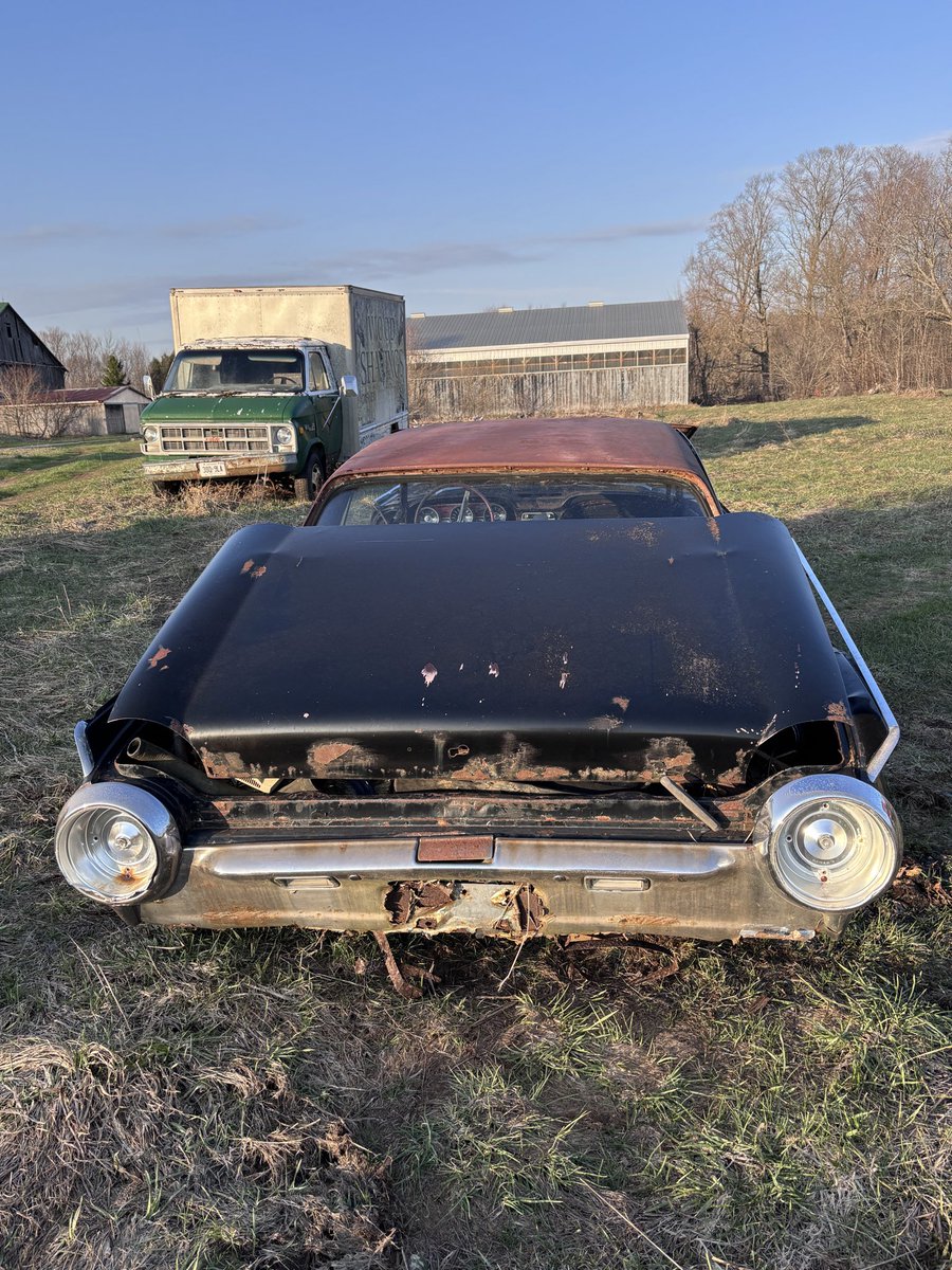 Irreverent-Farmer tweet media