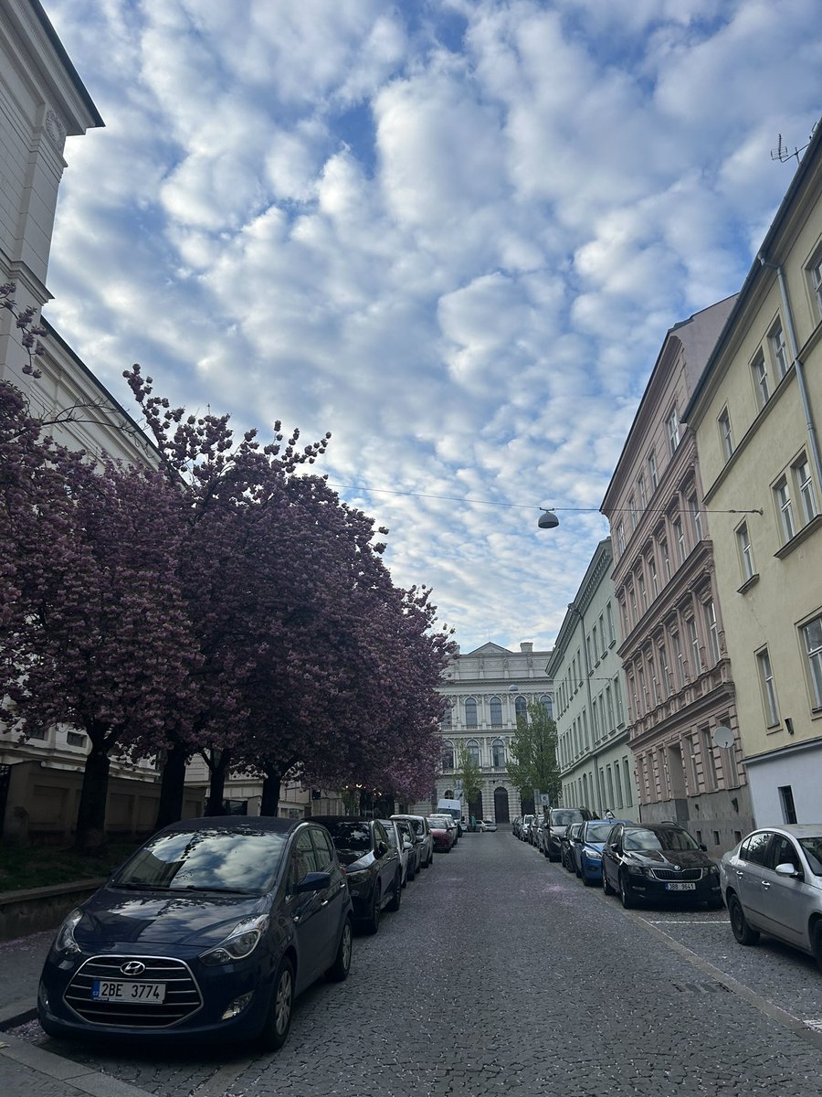 Silvia Steininger tweet media