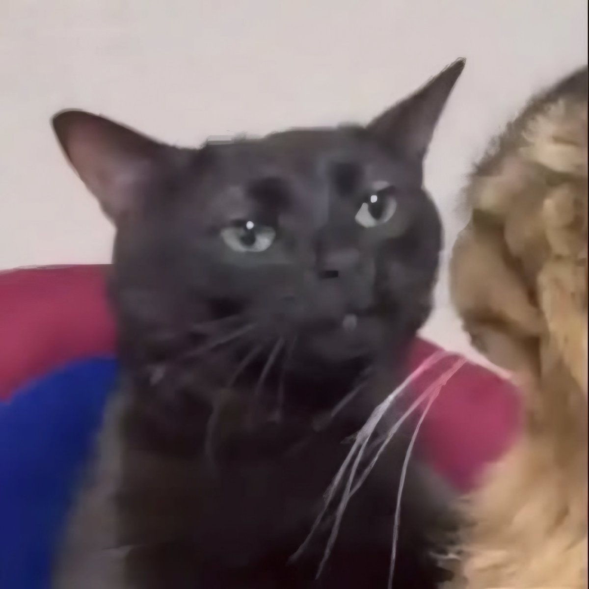 £DDY ♨️ tweet media