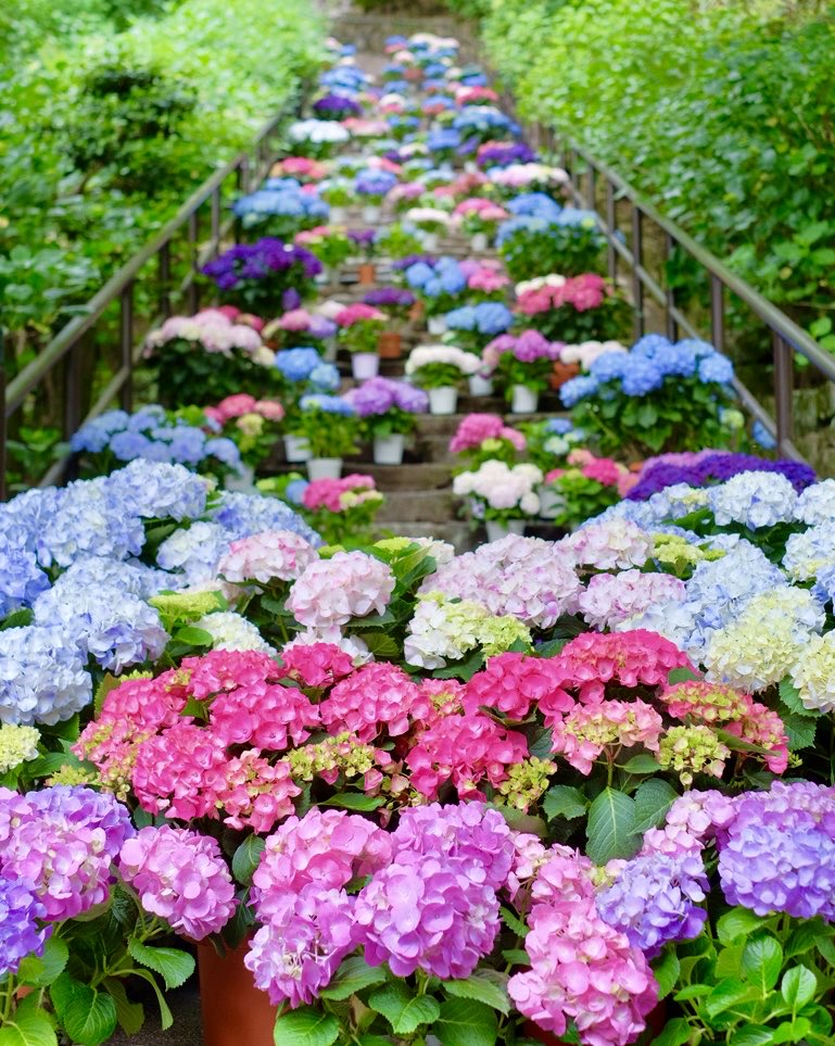 極上の旅図鑑 tweet media