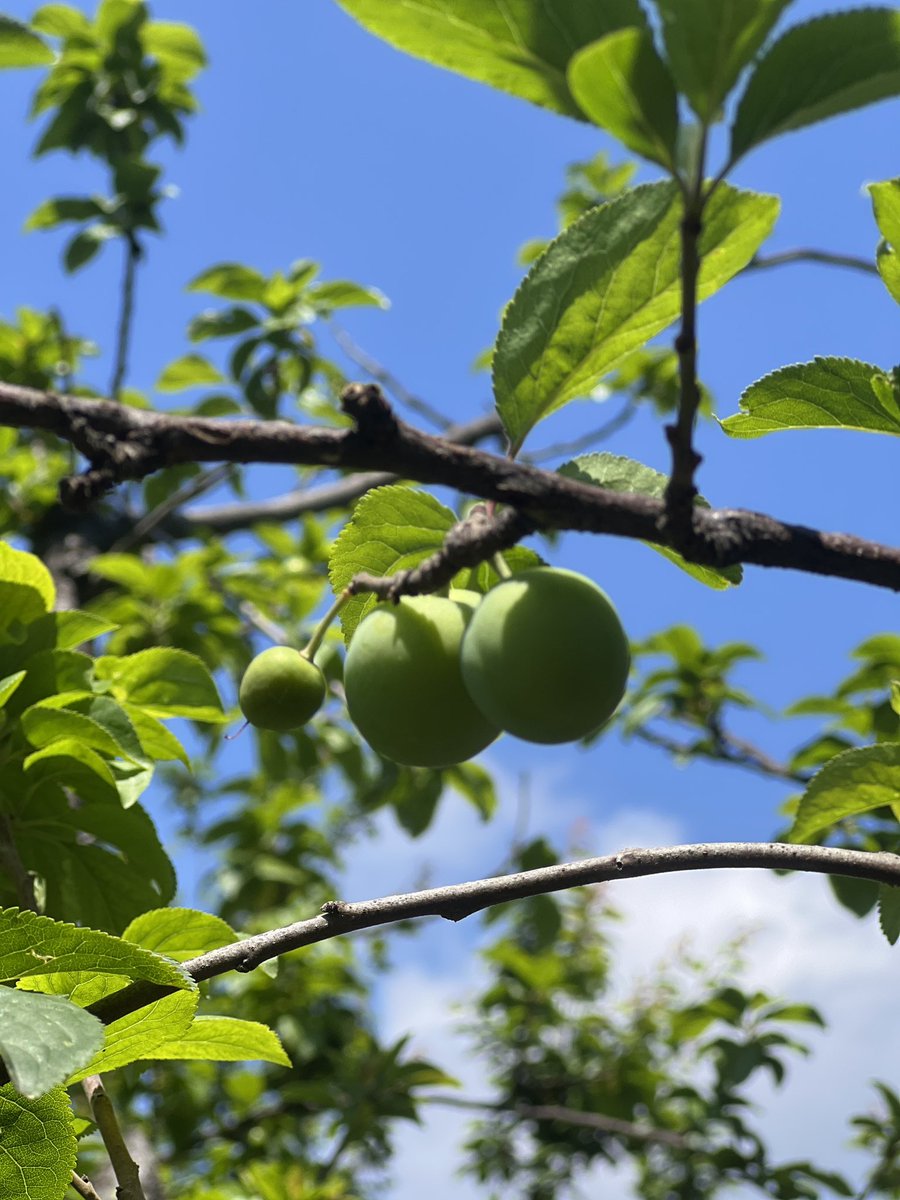 عبير💫 tweet media