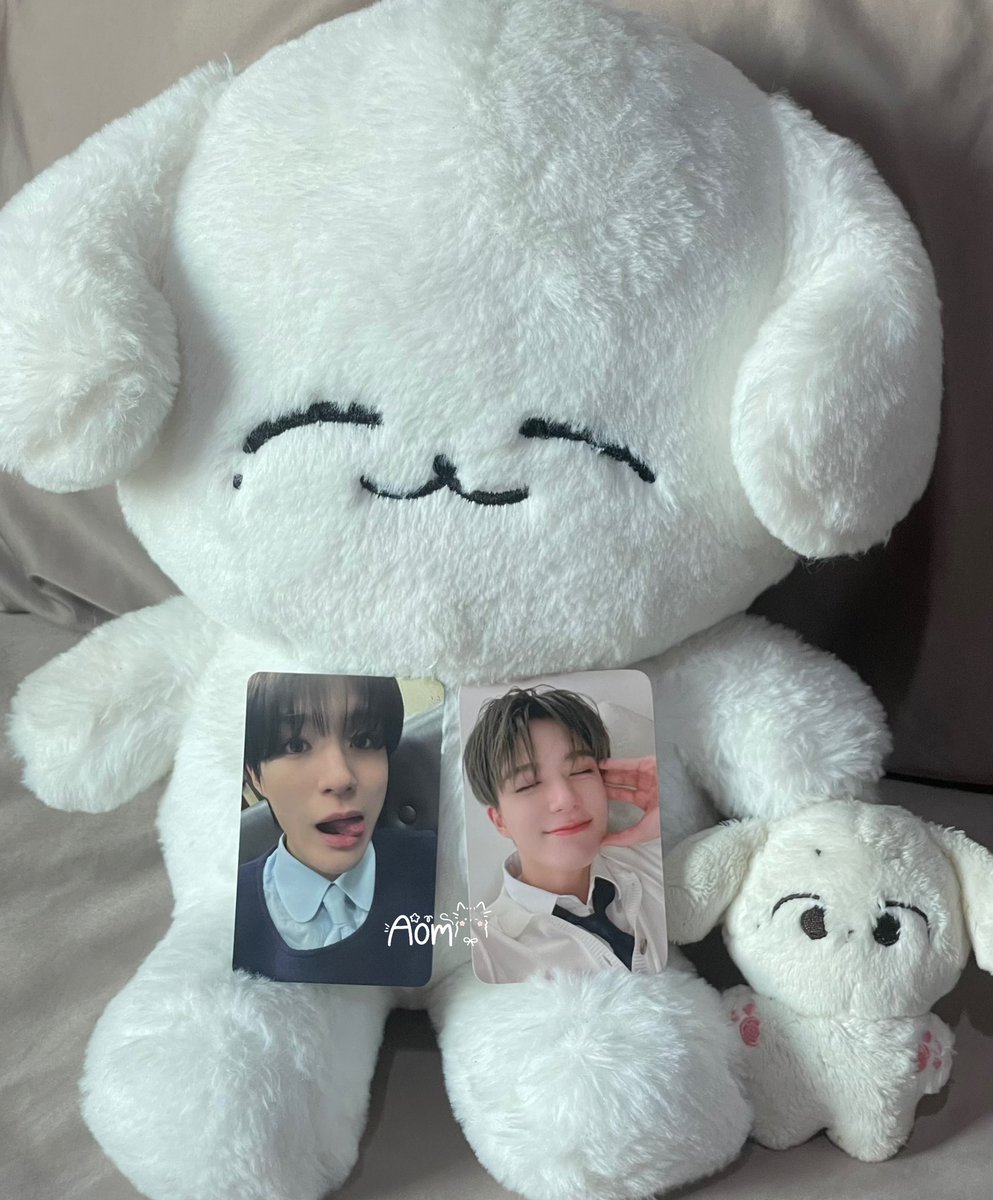 ⋆. 𐙚 ˚ aiimebabiezz tweet media