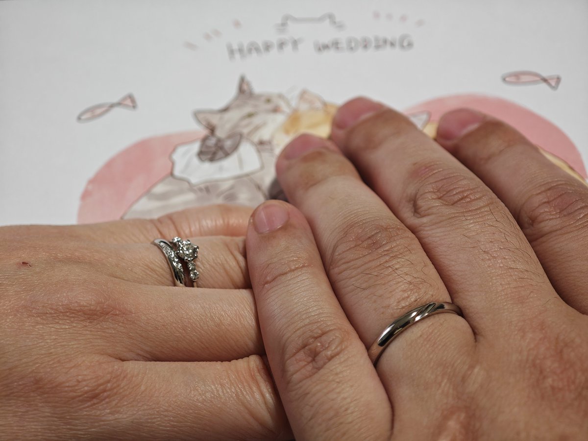 鈴木ひじき / Hijiki Suzuki tweet media