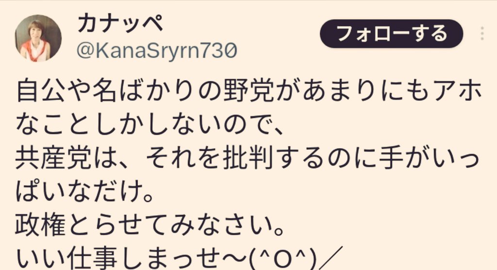 🇯🇵世の中パトの”スリッじぃ” tweet media
