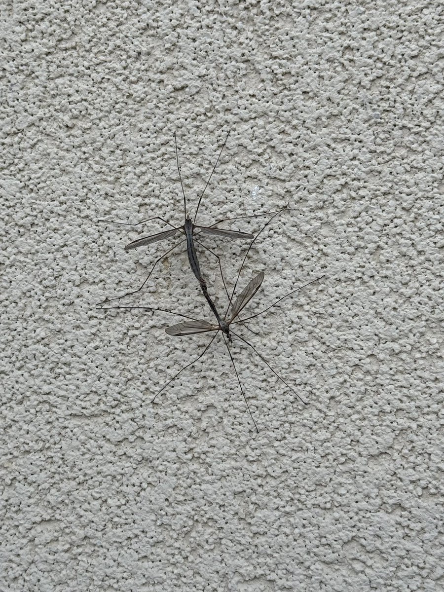 Hey girl, you wanna...?