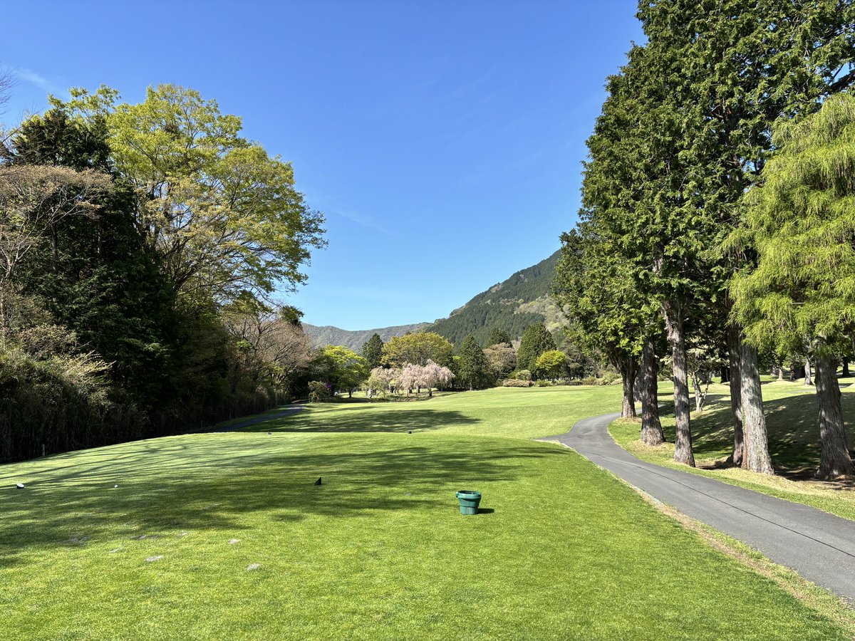 エリー tweet media