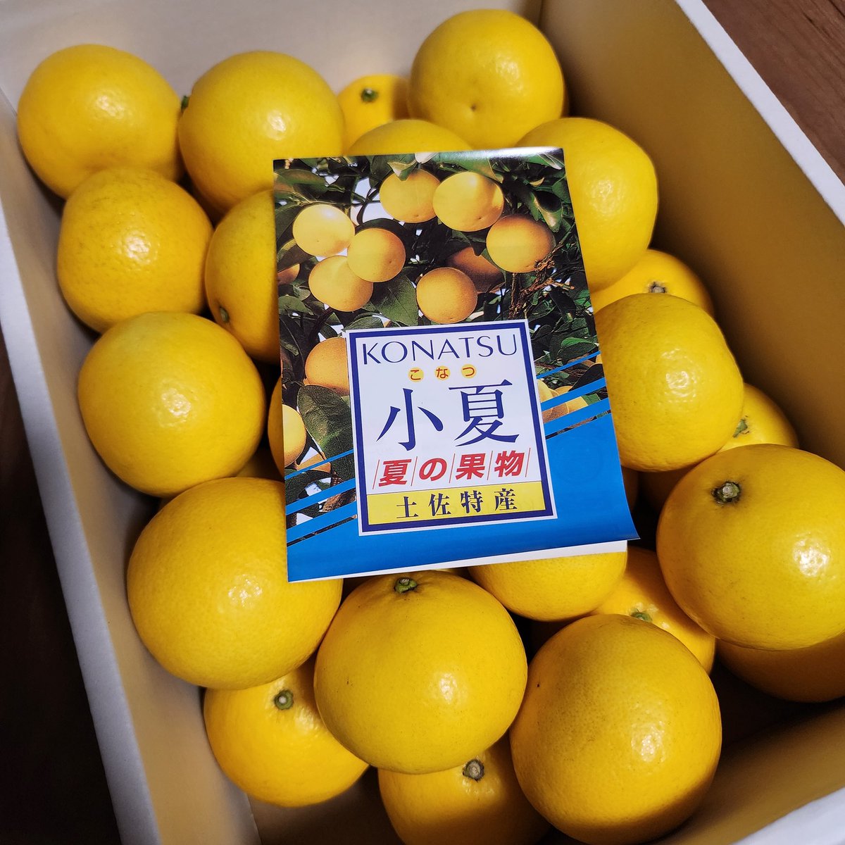 hal-ﾊﾙ- tweet media