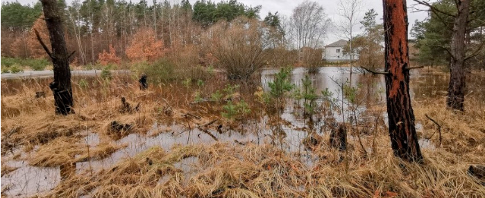 Resources MDPI tweet media